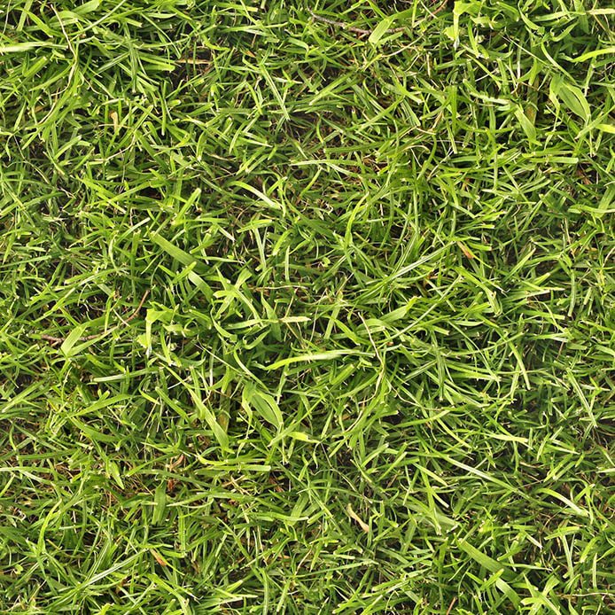 grass textures seamless 17