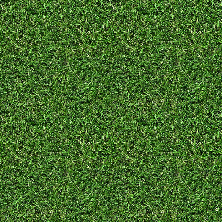 free grass texture unity