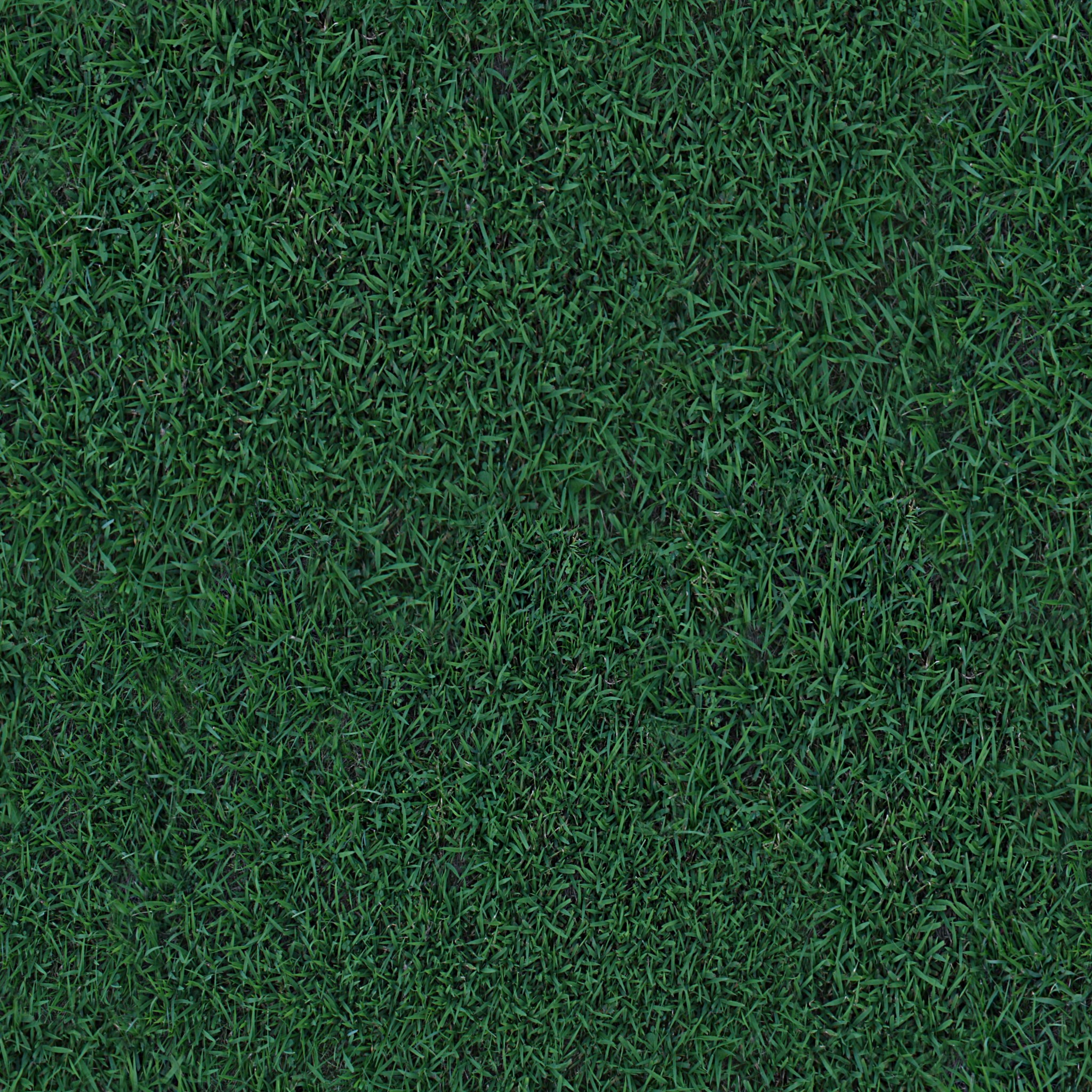 dark grass texture seamless