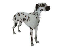 3D Model Dog animal free download